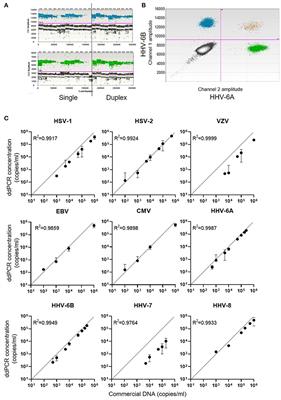 Salivary DNA Loads for Human Herpesviruses 6 and 7 Are Correlated With Disease Phenotype in Myalgic Encephalomyelitis/Chronic Fatigue Syndrome